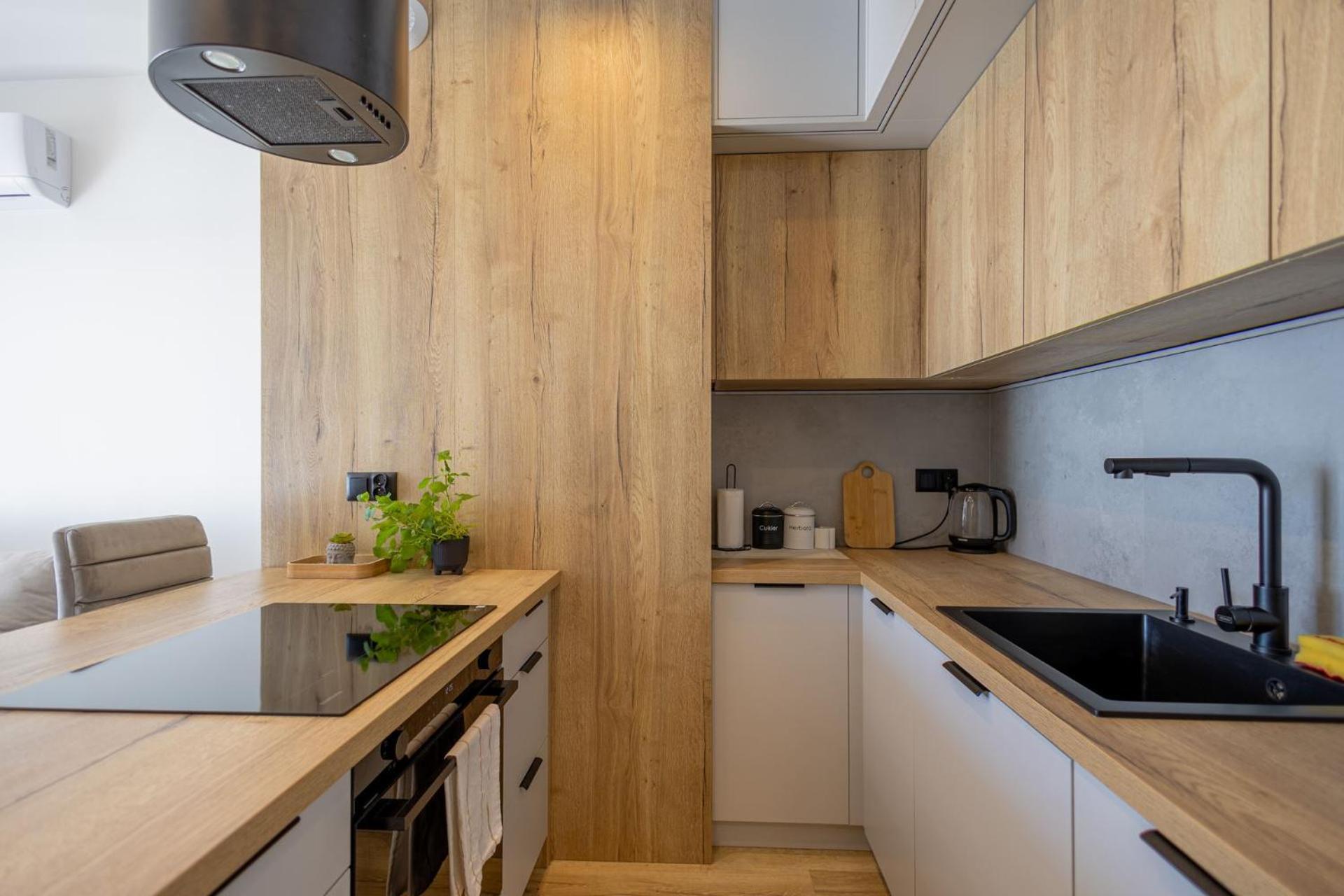 Vip Kopisto Centrum Apartment Rzeszów
