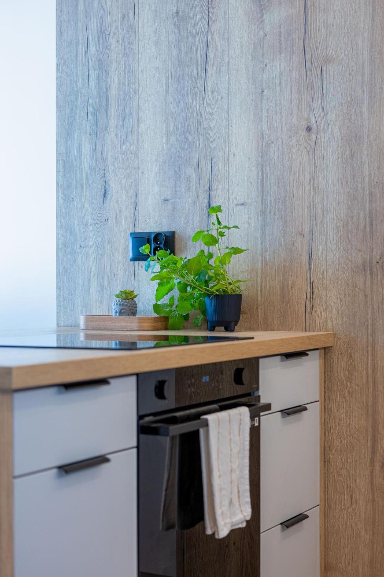 Apartment Vip Kopisto Centrum *